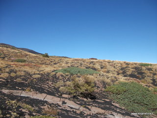 rrente Quarantore-01-11-2012 10-59-52